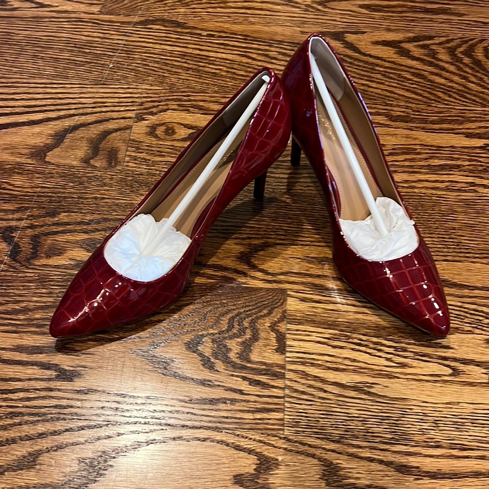 Brand new never worn Calvin Klein GAYLE pump.